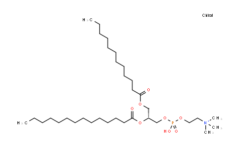 1-月桂酰-2-肉豆蔻酰基卵磷脂
