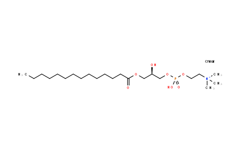 1-肉豆蔻-sn-甘油-3-磷酸胆碱