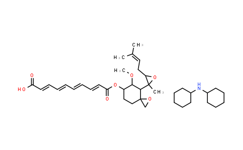 fumagillin bicyclohexylamine