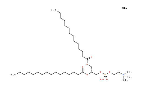 1-Myristoyl-2-palmitoyl-sn-glycero-3-phosphocholine