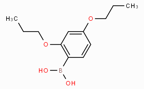 (2,4-dipropoxyphenyl)boronic acid