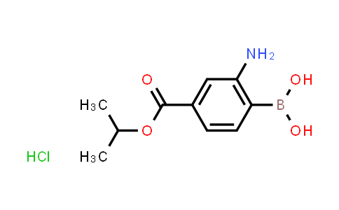 2-Amino-4-(isopropoxycarbonyl)phenylboronic acid hydrochloride