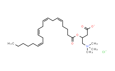 Arachidoyl-DL-carnitine chloride