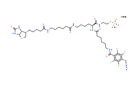 2-{N2-[N6-(4-Azido-2,3,5,6-tetrafluorobenzoyl)-6- aminocaproyl]-N6-(6-biotinamidocaproyl)-L -lysinylamido}ethyl Methanethiosulfonate