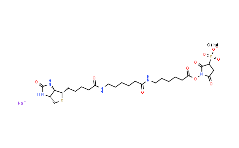 6-((6-((Biotinoyl)amino)hexanoyl)amino)hexanoic acid, sulfosuccinimidyl ester, sodium salt