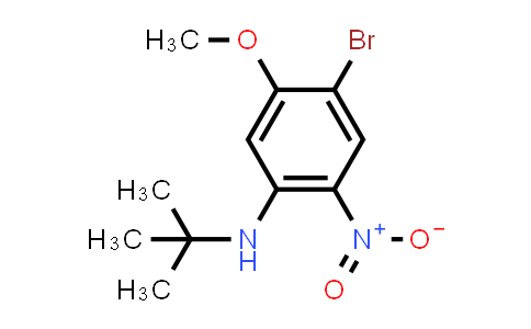 4-Bromo-N-(tert-butyl)-5-methoxy-2-nitroaniline