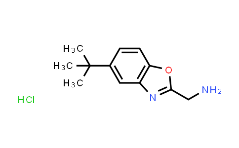 (5-tert-Butyl-1,3-benzoxazol-2-yl)methylamine hydrochloride
