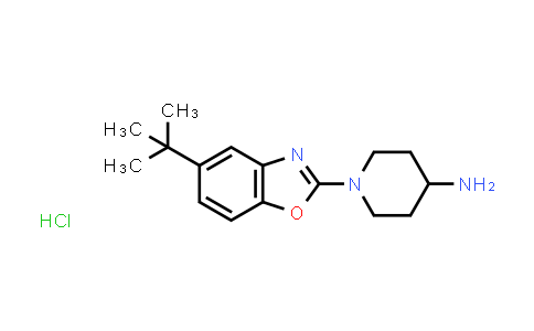 1-(5-tert-Butyl-1,3-benzoxazol-2-yl)piperidin-4-amine hydrochloride