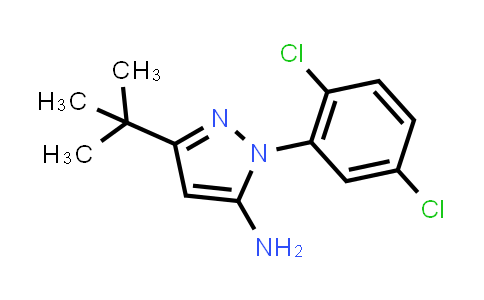 5-tert-Butyl-2-(2,5-dichlorophenyl)-2H-pyrazol-3-ylamine