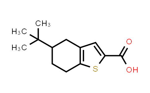 5-tert-Butyl-4,5,6,7-tetrahydro-1-benzothiophene-2-carboxylic acid