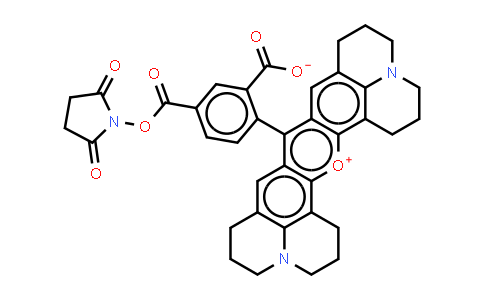 5-羧基-X-罗丹明琥珀酰亚胺酯(单一化合物)