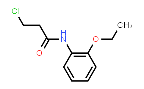 3-Chloro-N-(2-ethoxyphenyl)propanamide