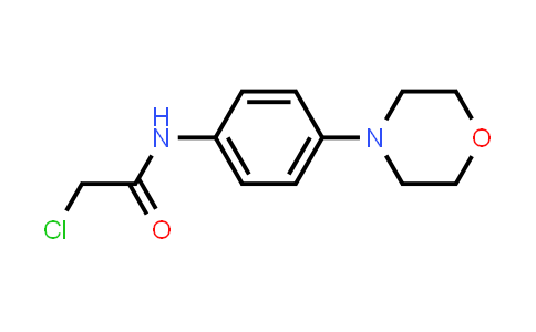 2-chloro-N-(4-morpholinophenyl)acetamide