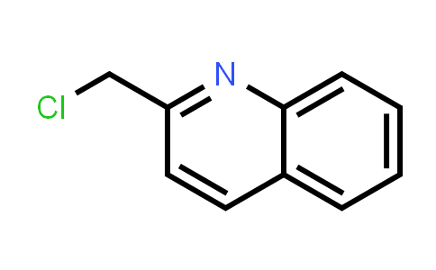 2-ChloromethylQuinoline