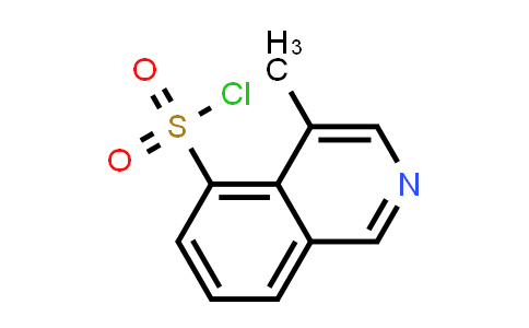 5-Chlorosulfonyl-4-methylisoquinoline