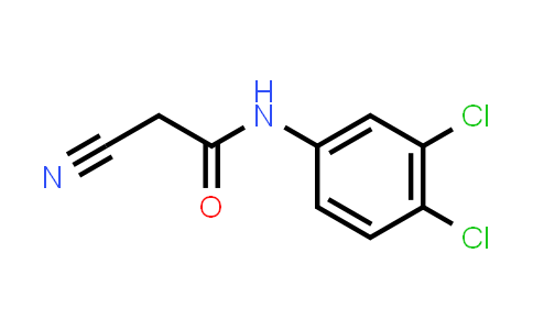 2-Cyano-N-(3,4-dichlorophenyl)acetamide