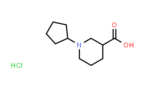 1-Cyclopentylpiperidine-3-carboxylic acid hydrochloride