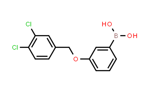 3-(3,4-Dichlorophenylmethoxy)phenylboronic acid