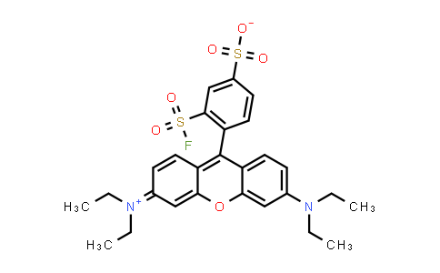4-[6-(Diethylamino)-3-(diethyliminio)-3H-xanthen-9-yl]-3-(fluorosulfonyl)benzenesulfonate