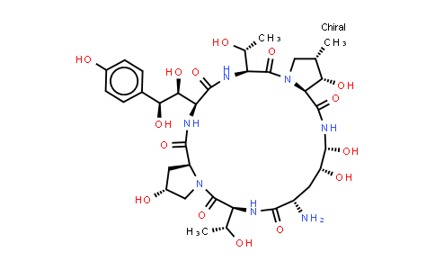 1-[(4R,5R)-4,5-Dihydroxy-L-ornithine]echinocandin B