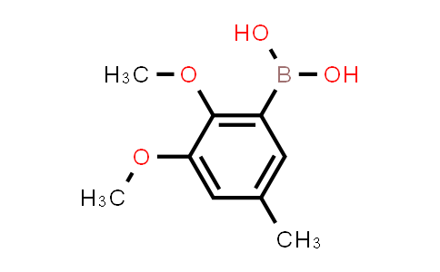 (2,3-Dimethoxy-5-methylphenyl)boronic acid