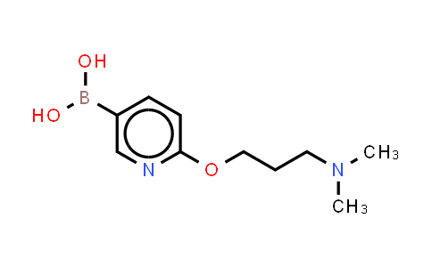 6-(3-N,N-DiMethylaMino-propoxy)pyridine-3-boronic acid