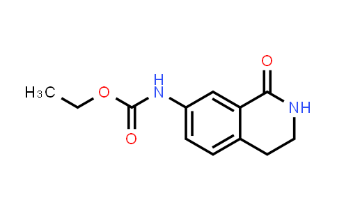 7-Ethoxycarbonylamino-1-oxo-1,2,3,4-tetrahydroisoquinoline