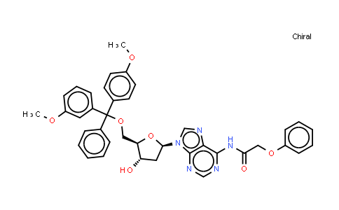 2'-Deoxy-5'-O-DMT-N6-phenoxyacetyladenosine