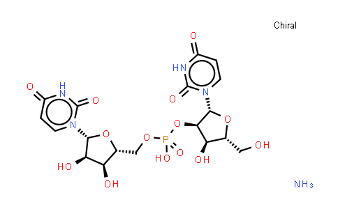 Uridylyl-2'-5'-uridine ammonium salt
