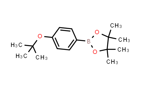 4-tert-Butoxybenzeneboronic acid pinacol ester