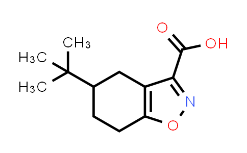 5-tert-Butyl-4,5,6,7-tetrahydro-1,2-benzoxazole-3-carboxylic acid
