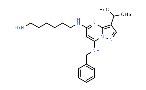 N5-(6-aminohexyl)-N7-benzyl-3-isopropyl-pyrazolo[1,5-a]pyrimidine-5,7-diamine