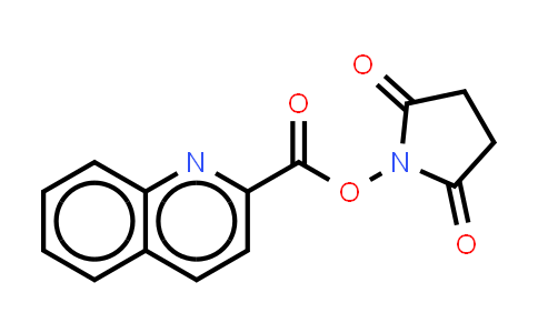 Quinaldic acid succinimide ester