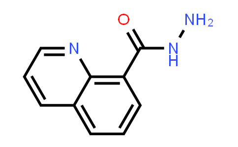 Quinoline-8-carboxylic acid hydrazide