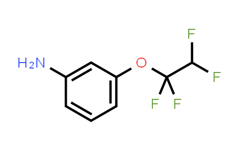 3-(1,1,2,2-Tetrafluoroethoxy)aniline