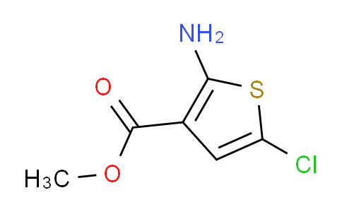 2-氨基-5-氯噻吩-3-甲酸甲酯