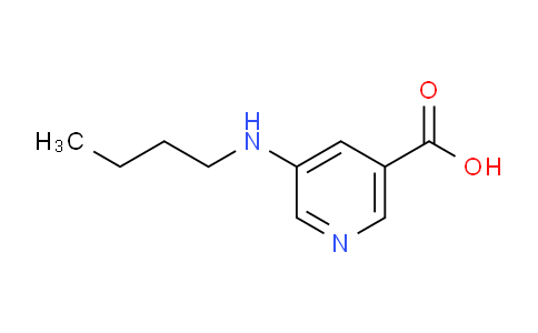 5-(Butylamino)nicotinic acid