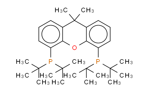9,9-二甲基-4,5-双(二叔丁基膦)二苯并-Γ-吡喃