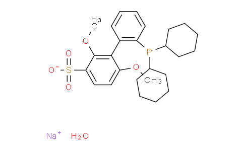 2′-二环己基膦基-2,6-二甲氧基-1,1′-联苯基-3-磺酸钠 水合物