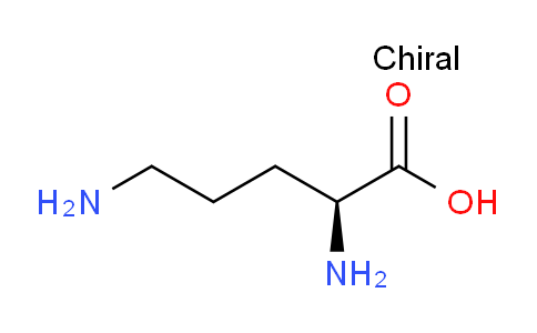 c5h12同分异构体画法图片