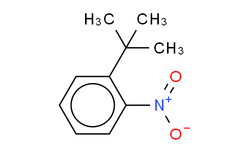 2-叔丁基硝基苯