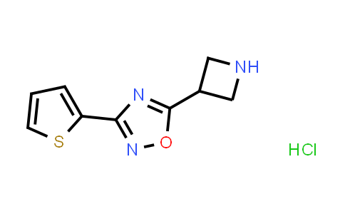 5-氮杂环丁烷-3-基-3-(2-噻吩基)-1,2,4-噁二唑盐酸盐