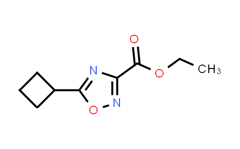 5-环丁基-1,2,4-噁二唑-3-羧酸乙酯