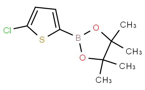 5-氯噻吩-2-硼酸频哪醇酯
