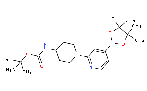 tert-butyl (1-(4-(4,4,5,5-tetramethyl-1,3,2-dioxaborolan-2-yl)pyridin-2-yl)piperidin-4-yl)carbamate