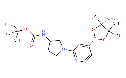 tert-butyl (1-(4-(4,4,5,5-tetramethyl-1,3,2-dioxaborolan-2-yl)pyridin-2-yl)pyrrolidin-3-yl)carbamate