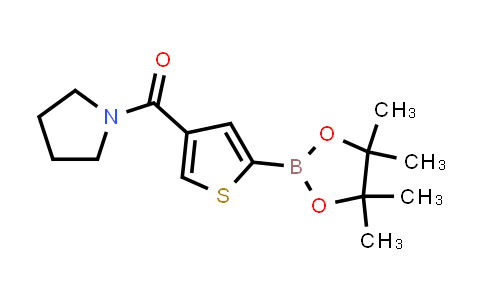 Pyrrolidin-1-yl(5-(4,4,5,5-tetramethyl-1,3,2-dioxaborolan-2-yl)thiophen-3-yl)methanone
