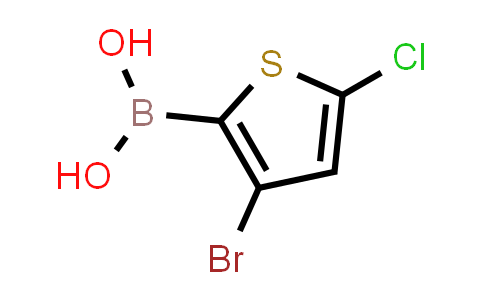 3-溴-5-氯噻吩-2-硼酸