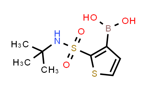 2-(叔丁基氨磺酰基)噻吩-3-硼酸