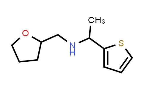 N-((四氢呋喃-2-基)甲基)-1-(噻吩-2-基)乙-1-胺